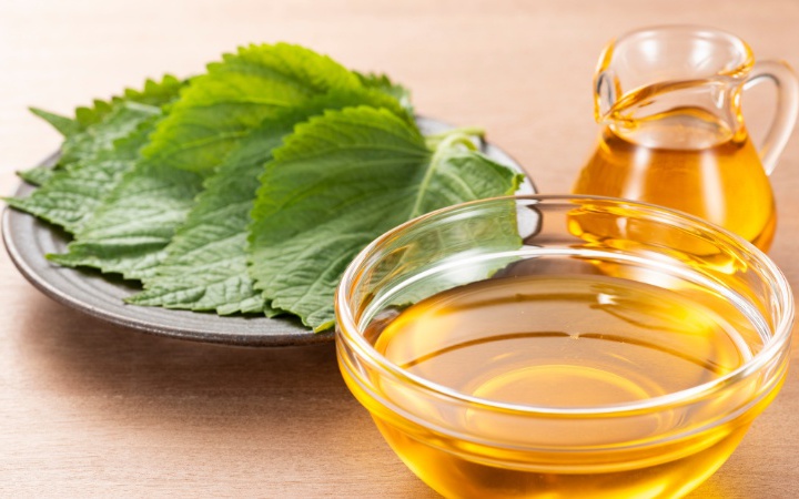 Cách nấu lá tía tô chữa bệnh gút